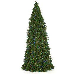 14' C7 LED Multicolor