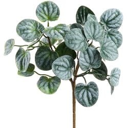 Green/Gray