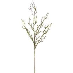 25"