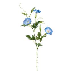 Options – Blue