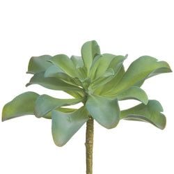 Green/Gray
