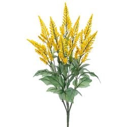 Options – Yellow