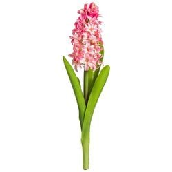 Options – Pink