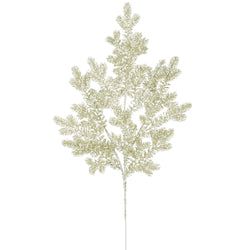 30" Champagne/White