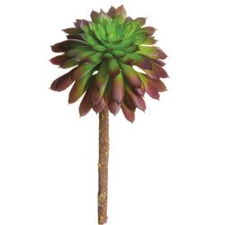 Green/Purple