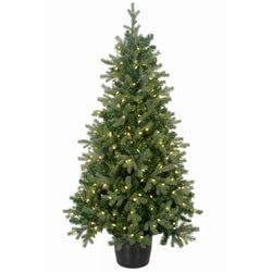 5' LED Lights