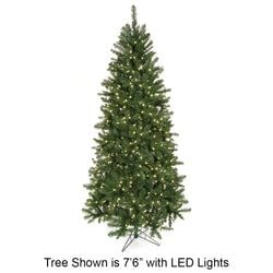 6'6" LED Lights