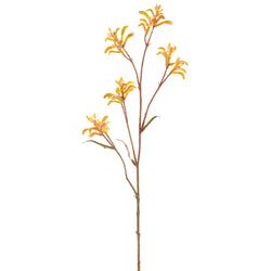 Yellow/Brown - Customer Return