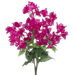 2-Tone Fuchsia