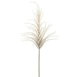 Options – Beige