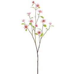 Options – Pink