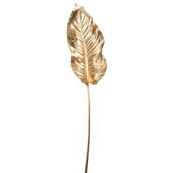 Options – Gold