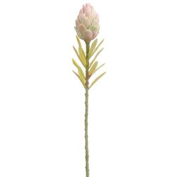 Pink/Green