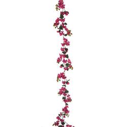 Lavender/Fuchsia Deluxe