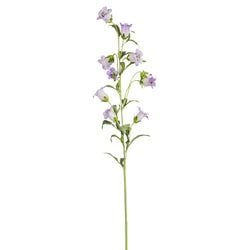 Options – Lavender