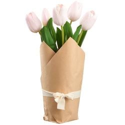 Soft Pink