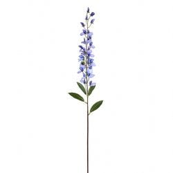 Blue/Purple
