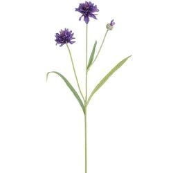 Options – Purple