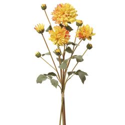 Yellow/Orange