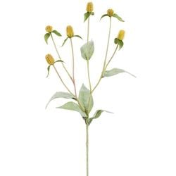 Options – Yellow