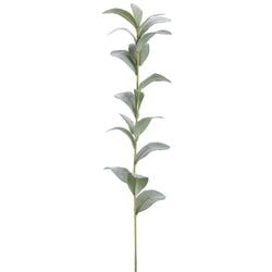 Options – 30.5" Green/Gray