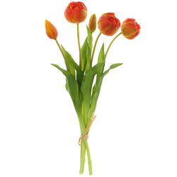 Orange/Yellow
