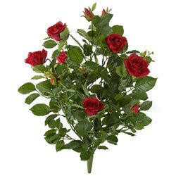 Options – Red