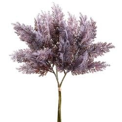 Brown/Purple