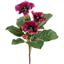 Dark Fuchsia