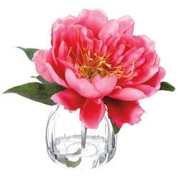 Options – Cerise
