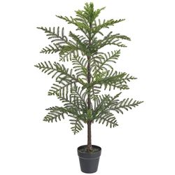 3'
