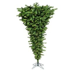 5'6" LED