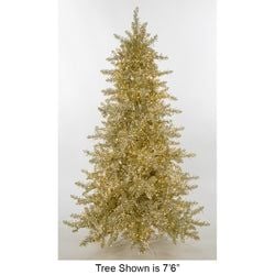 Options – 5' LED