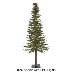10' No Lights
