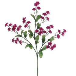 Violet/Red