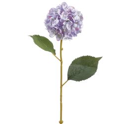 2 Tone Lavender