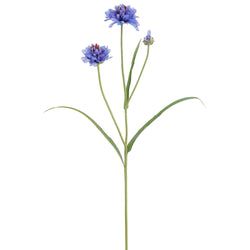 Options – Blue