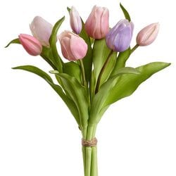 Options – Lavender/Rose