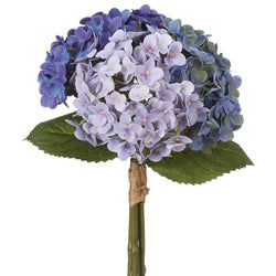 Purple/Lavender