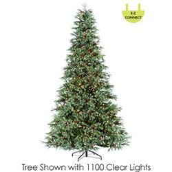 10' No Lights