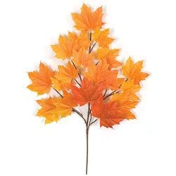 Options – Red/Orange - Fire Rated