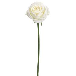 Options – White