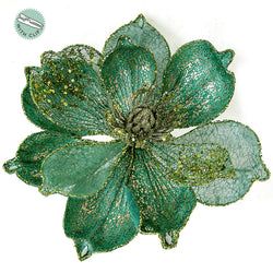 Options – Teal