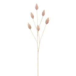 Options – Lavender