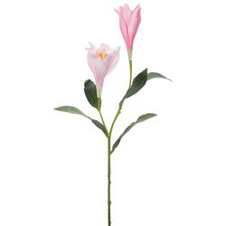 Options – Light Pink