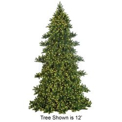 12'