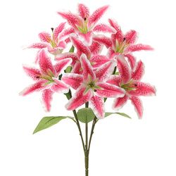 Pink/Rubrum