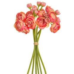 Coral/Pink