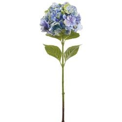 Blue/Green