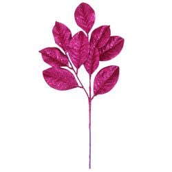 Raspberry